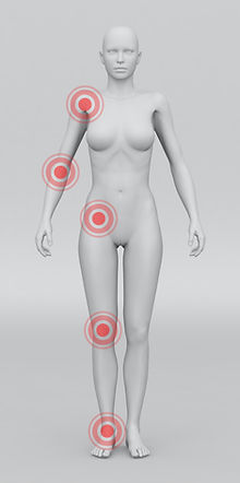 Woman Anatomical Model