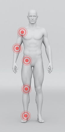Man Anatomical Model