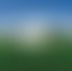 NATURAL COSMO