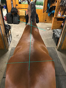 lines.jpeg