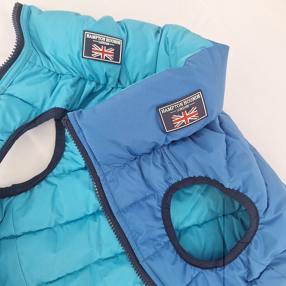 Thumbnail: Navy and Aqua Blue Puffer Jacket