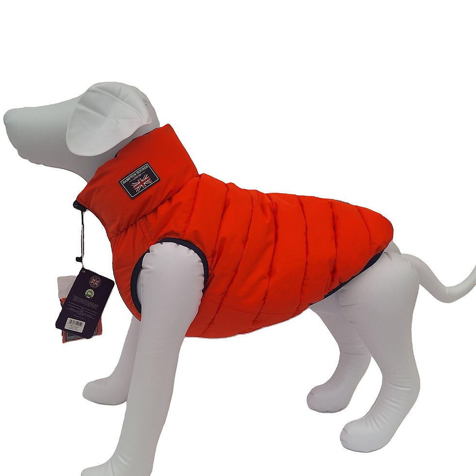 Thumbnail: Orange and Navy Puffer Jacket