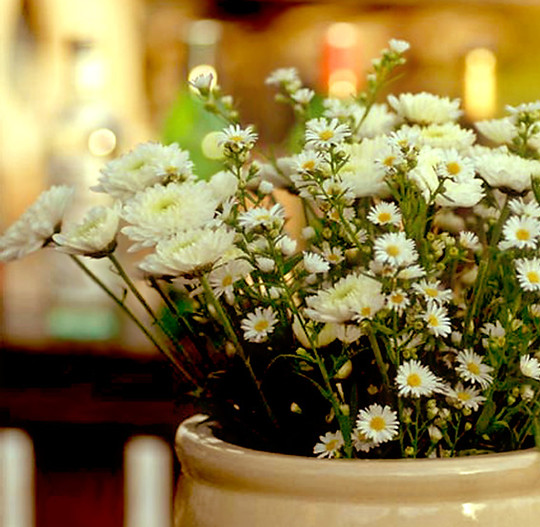 Flowers
