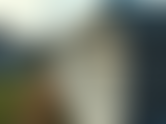 Installing Aluminum Fences: A Complete Guide to Aluminum Fence Setup