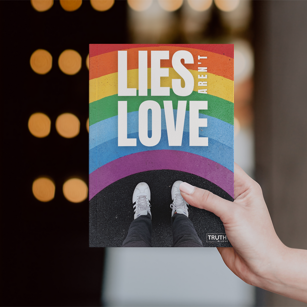 Thumbnail: Lies Aren't Love Curriculum | Schools