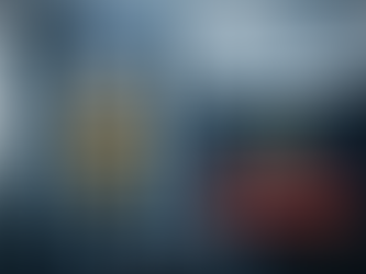 Taking a Stand Without Screening Beliefs – Recruiting Between Polarization and Professionalism