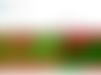 Talent-Heatmap Analytics: ein Instrument für moderne TA- und PE-Strategien