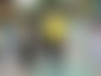 Inauguración Coliseo San Miguel Arcángel