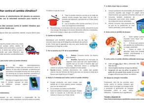 Cómo luchar contra el cambio climático