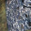サムネイル： U.S.NAVY NWU TYPEⅠ ゴアテックスパーカー 2013年 S-XXS USED【NP0016】
