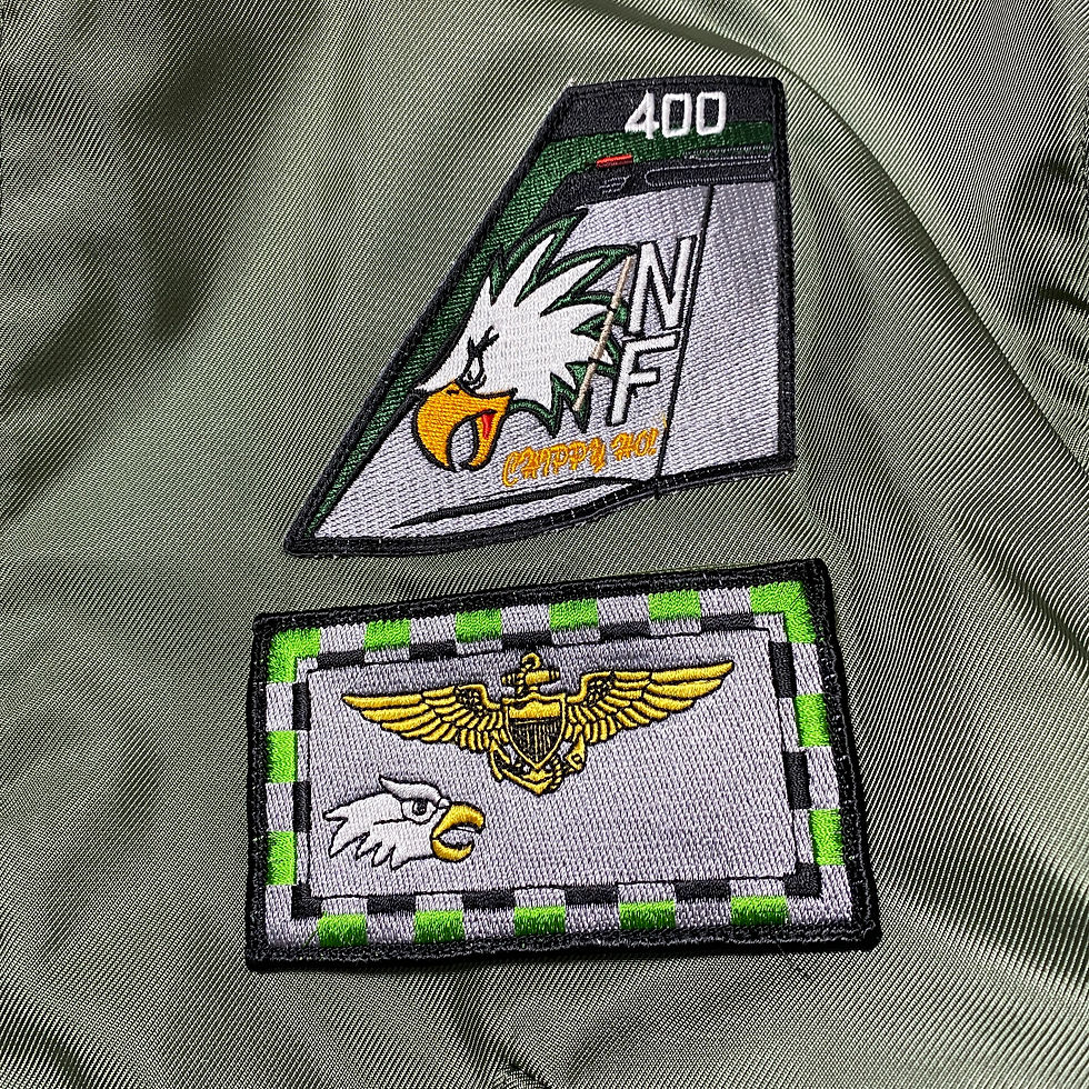 CWU-36P HOUSTON VFA-195 DAMBUSTERS ダムバスターズ | 柿田商店