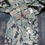 サムネイル： U.S.NAVY NWU TYPEⅢ ゴアテックスパーカー 2010年 L-L USED【NP030】