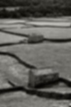 Swaledale Barns _ Celia Waldron