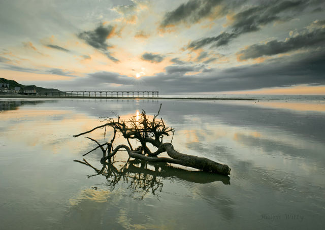 Saltburn - 20 - Prints