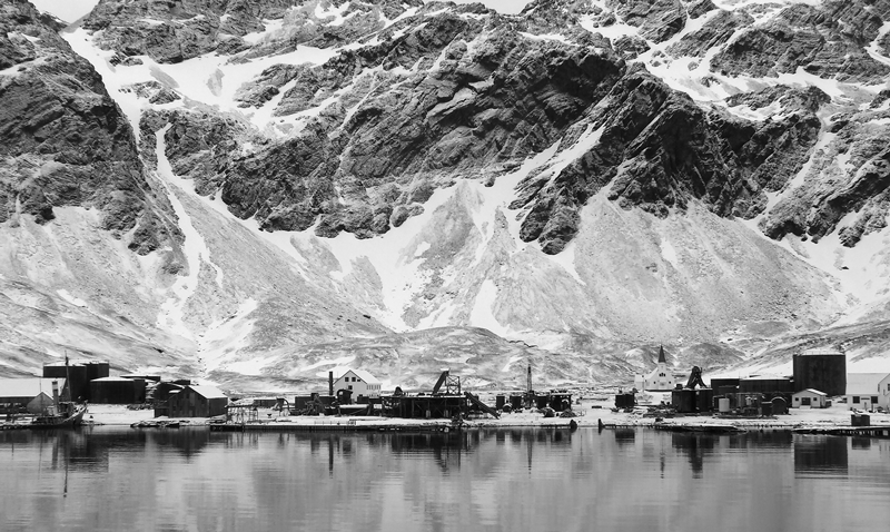 Grytviken 1st - Digitals