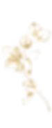 Untitled design (41)_edited.png