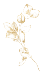 Untitled design (40)_edited.png