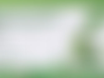 Recicla Buriti: Espaço do Buriti Shopping Guará promove a consciência ambiental com ótimos números