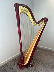 Harps for Sale | Harp Central