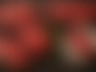 Dananın Sırtından Hangi Et Yemekleri Yapılabilir?