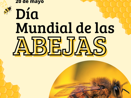 Mañana, 20 de mayo: Día Mundial de las Abejas