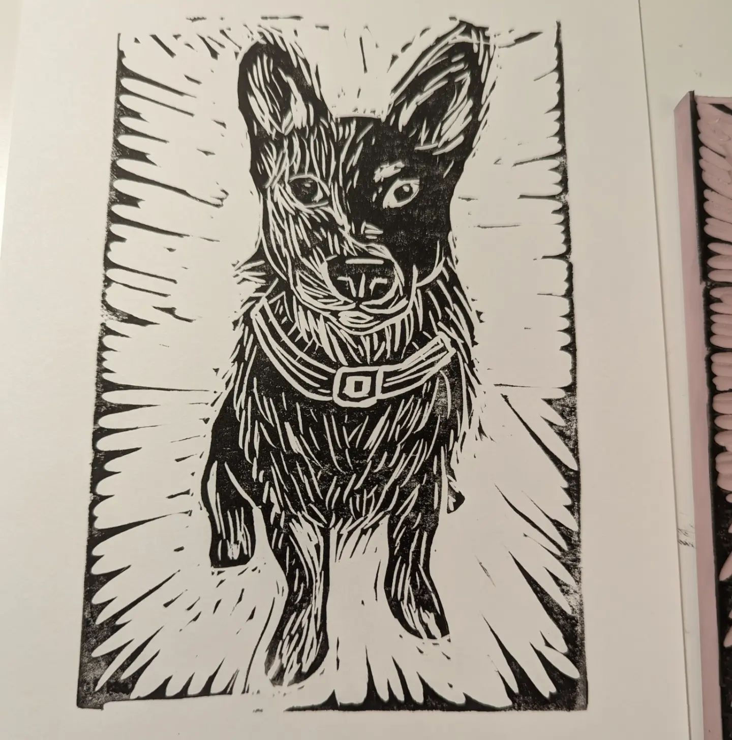 Blue Heeler linocut Print