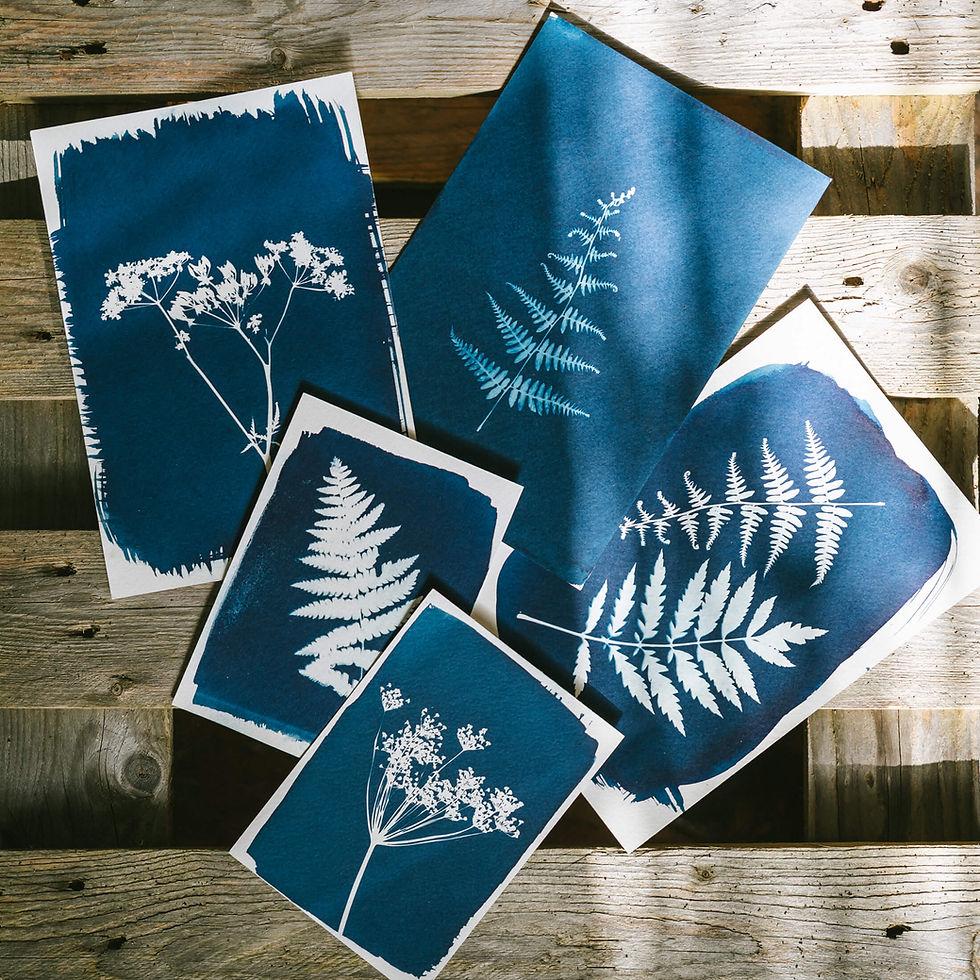 Cyanotype Printing Workshop