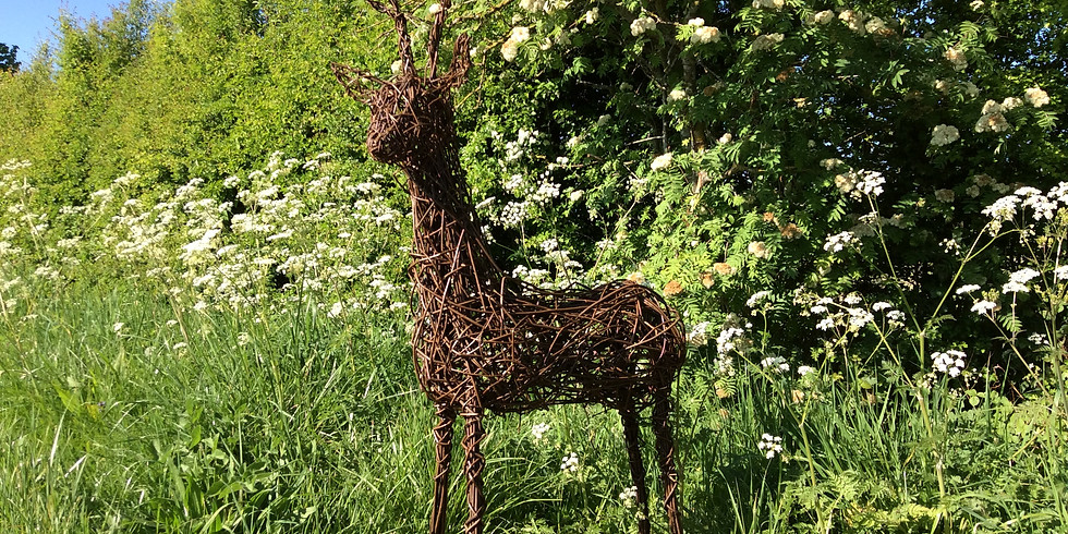 Willow weaving : Willow Deer