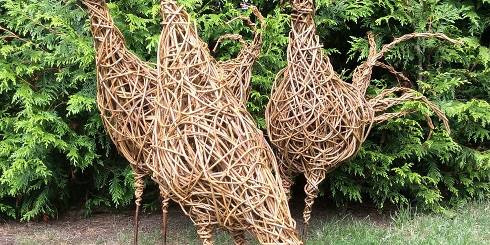 Willow Spring Chicken!