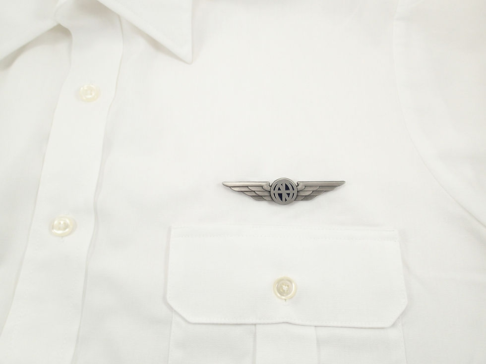 Thumbnail: Pilot Wings - Aviator Wings Lapel Pin