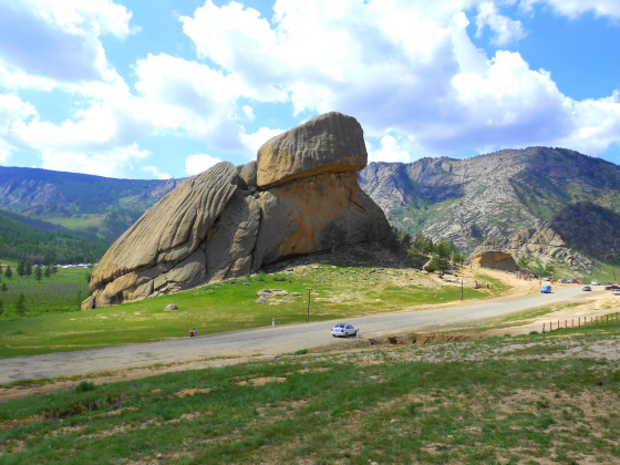 Turtle Rock
