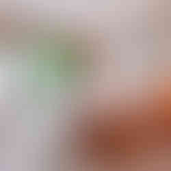 Guesthouses and Inns in ubud