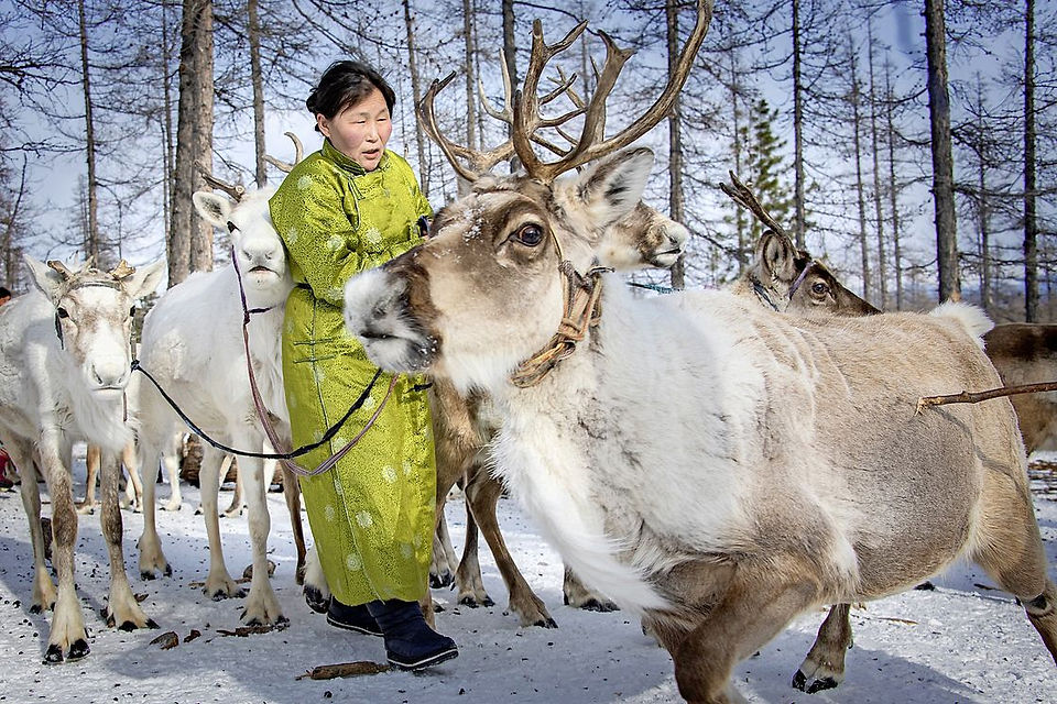 The Tsaatan of Mongolia