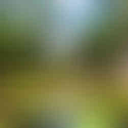 natural sites on the island of mauritius