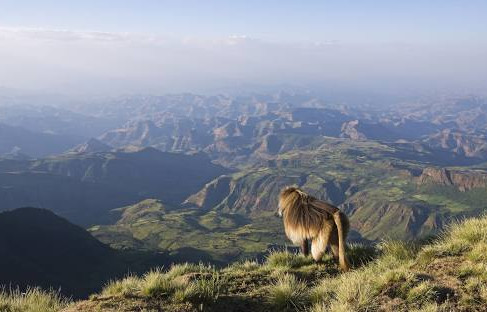 Simien Mountains National Park, Ethiopia
