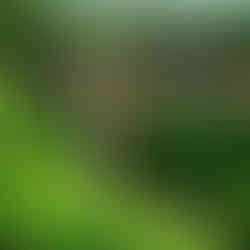 natural sites on the island of mauritius