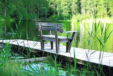 finland-g4200f132a_1920_edited.jpg