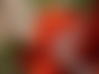 empfangende Hände eines Mönchs