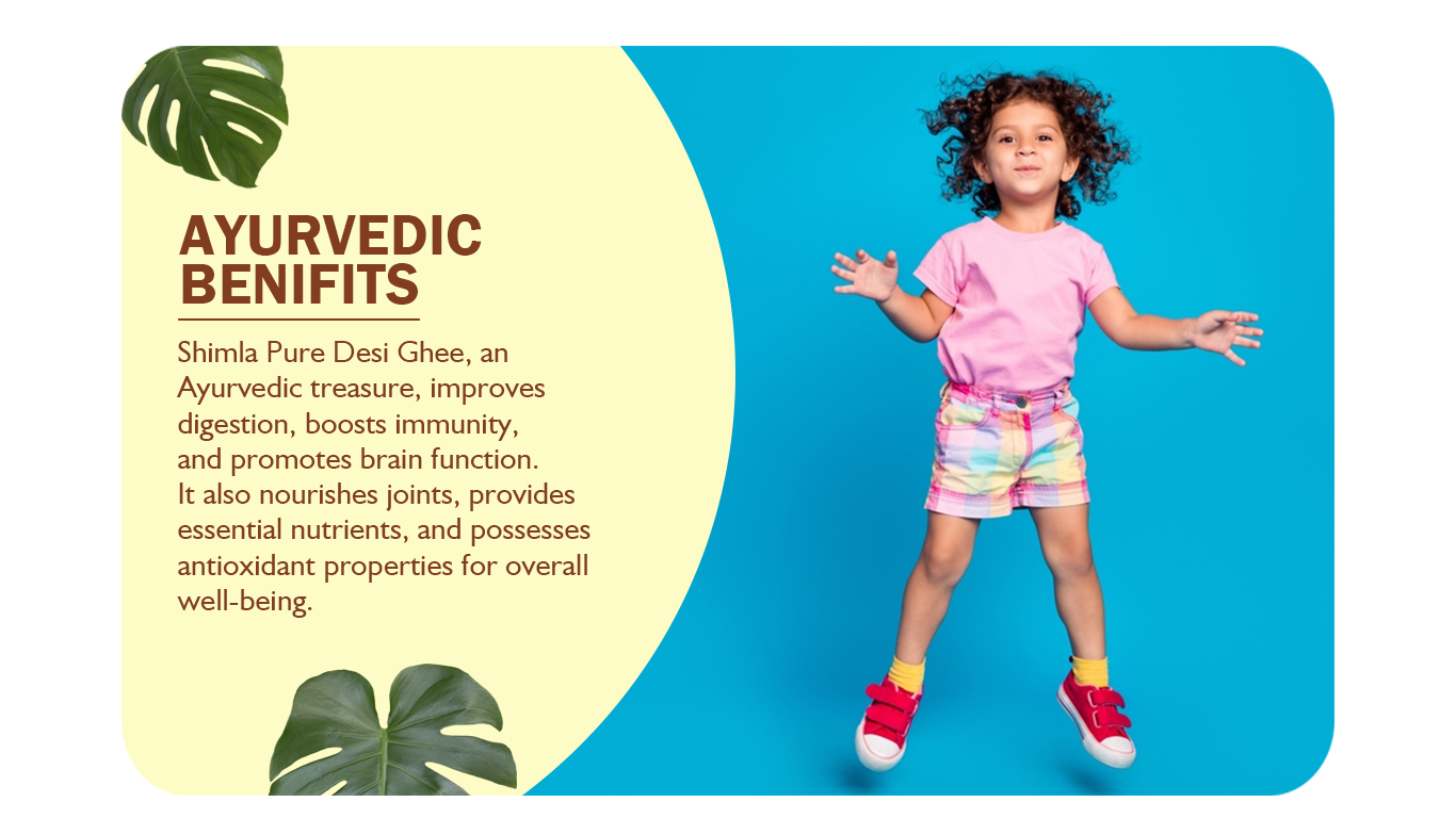 Buy Simla Premium 5 Liter Danedar Buffalo Ghee Pure Buffalo Ghee Online at Best Prices in