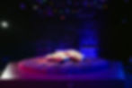 midsummerNightsDream-001_aGreen.jpg