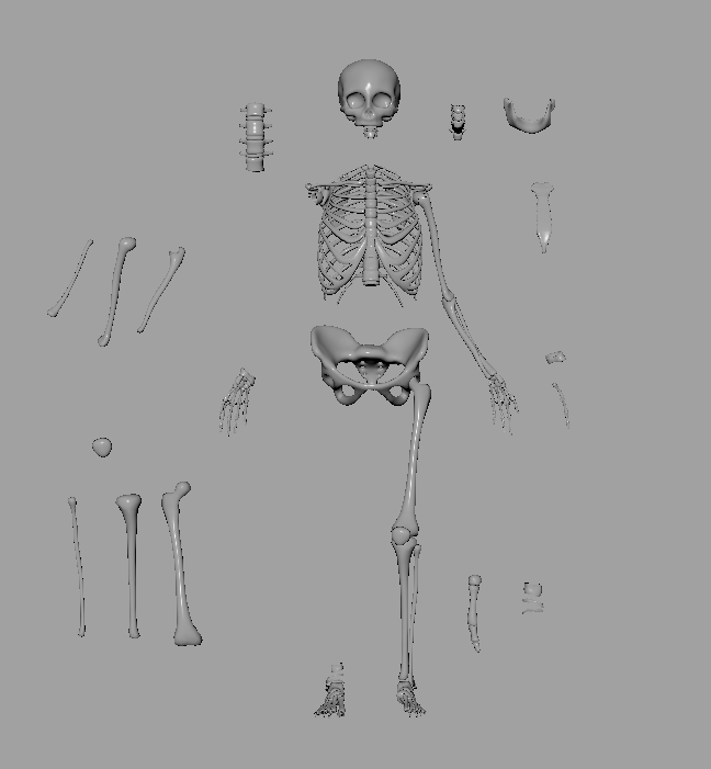 Skelly