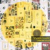 2020_L'ancienSoleil_Yvan Marc.jpeg