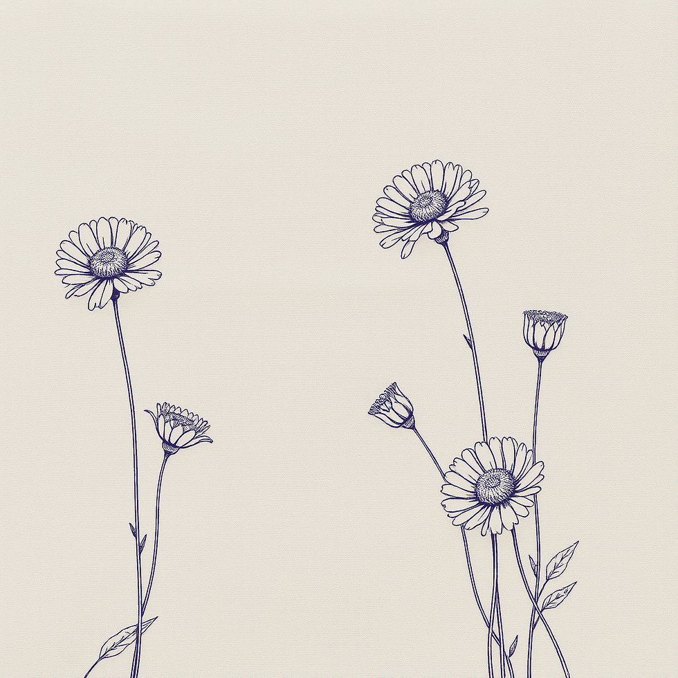 Blomme_Background_blue_v2_1.png