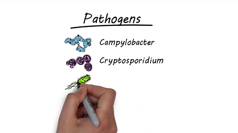 Screen Shot 2018-12-03 at 8.49.41 PM.png