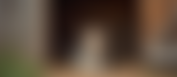 The Unsung Heroes of the Farm: Meet the Portage County Working Cats