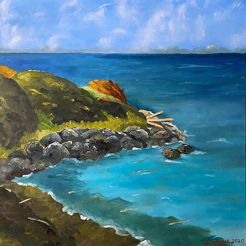 Oceanscape