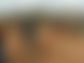 Farming, faith and impact in zambia