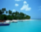 Sightseeing tours, PADI