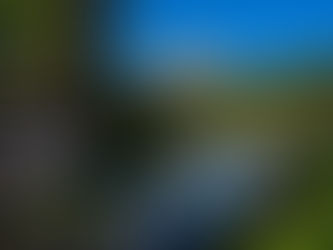 Los bosques ancestrales de Komi