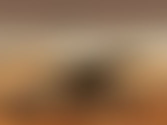 ¿Hay vida en marte?